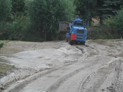 Fotos: Steinbrecher, K&uuml;rbis, Halle, Wicht  (Bild vergr&ouml;&szlig;ern)