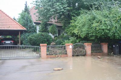 Fotos: Steinbrecher, K&uuml;rbis, Halle, Wicht  (Bild vergr&ouml;&szlig;ern)