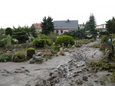 Fotos: Steinbrecher, K&uuml;rbis, Halle, Wicht  (Bild vergr&ouml;&szlig;ern)