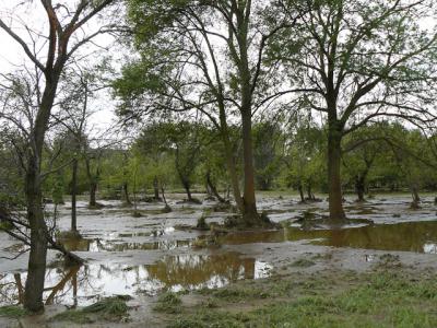 Fotos: Steinbrecher, K&uuml;rbis, Halle, Wicht  (Bild vergr&ouml;&szlig;ern)