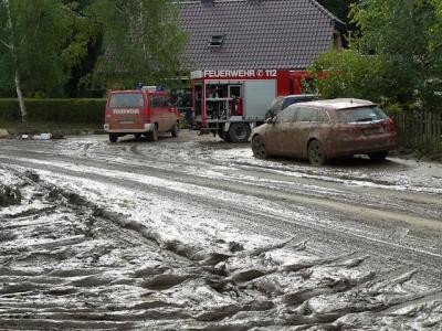 Fotos: Steinbrecher, K&uuml;rbis, Halle, Wicht  (Bild vergr&ouml;&szlig;ern)