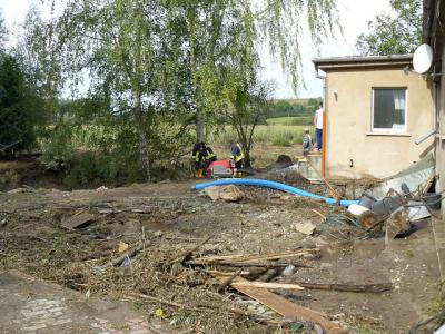 Fotos: Steinbrecher, K&uuml;rbis, Halle, Wicht  (Bild vergr&ouml;&szlig;ern)