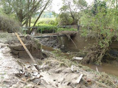 Fotos: Steinbrecher, K&uuml;rbis, Halle, Wicht  (Bild vergr&ouml;&szlig;ern)