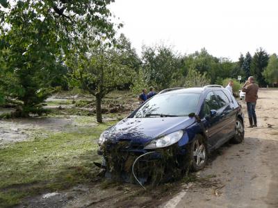 Fotos: Steinbrecher, K&uuml;rbis, Halle, Wicht  (Bild vergr&ouml;&szlig;ern)