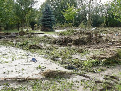 Fotos: Steinbrecher, K&uuml;rbis, Halle, Wicht  (Bild vergr&ouml;&szlig;ern)