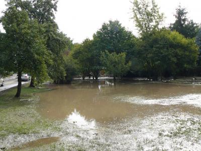 Fotos: Steinbrecher, K&uuml;rbis, Halle, Wicht  (Bild vergr&ouml;&szlig;ern)