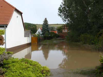 Fotos: Steinbrecher, K&uuml;rbis, Halle, Wicht  (Bild vergr&ouml;&szlig;ern)