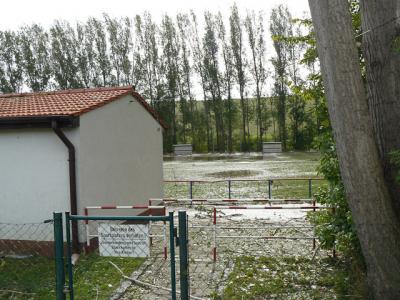 Fotos: Steinbrecher, K&uuml;rbis, Halle, Wicht  (Bild vergr&ouml;&szlig;ern)