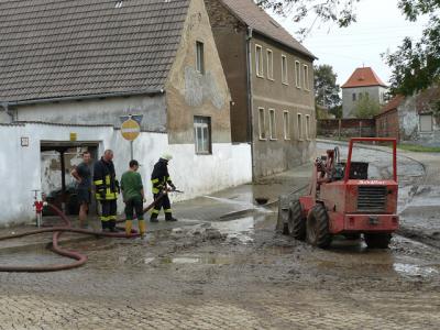 Fotos: Steinbrecher, K&uuml;rbis, Halle, Wicht  (Bild vergr&ouml;&szlig;ern)