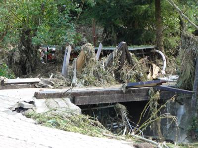Fotos: Steinbrecher, K&uuml;rbis, Halle, Wicht  (Bild vergr&ouml;&szlig;ern)