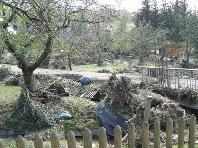 Fotos: Steinbrecher, K&uuml;rbis, Halle, Wicht  (Bild vergr&ouml;&szlig;ern)
