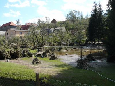 Fotos: Steinbrecher, K&uuml;rbis, Halle, Wicht  (Bild vergr&ouml;&szlig;ern)