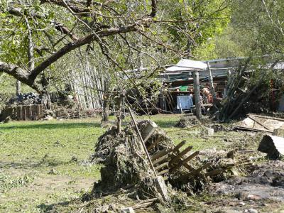 Fotos: Steinbrecher, K&uuml;rbis, Halle, Wicht  (Bild vergr&ouml;&szlig;ern)