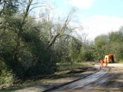 Fotos: Steinbrecher, K&uuml;rbis, Halle, Wicht  (Bild vergr&ouml;&szlig;ern)