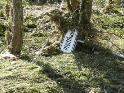 Fotos: Steinbrecher, K&uuml;rbis, Halle, Wicht  (Bild vergr&ouml;&szlig;ern)
