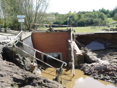 Fotos: Steinbrecher, K&uuml;rbis, Halle, Wicht  (Bild vergr&ouml;&szlig;ern)