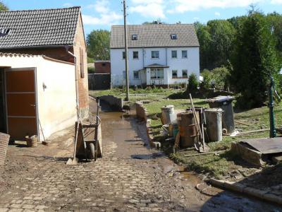 Fotos: Steinbrecher, K&uuml;rbis, Halle, Wicht  (Bild vergr&ouml;&szlig;ern)
