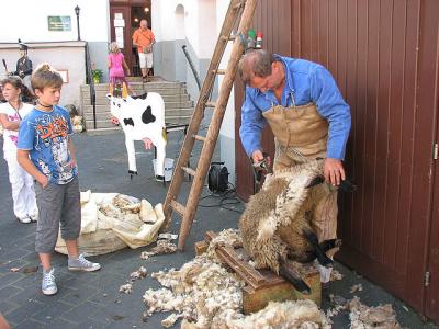 Foto des Albums: Gewerkemarkt