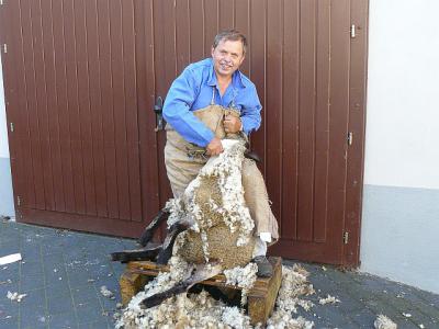 Foto des Albums: Gewerkemarkt