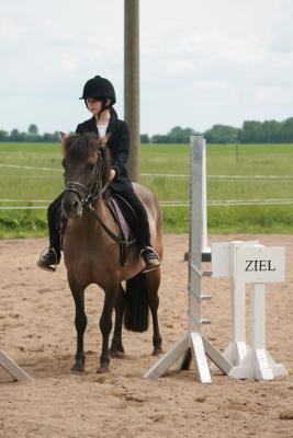 Foto des Albums: Reitfest