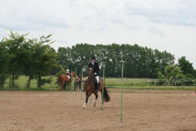 Foto des Albums: Reitfest
