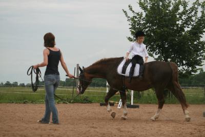Foto des Albums: Reitfest