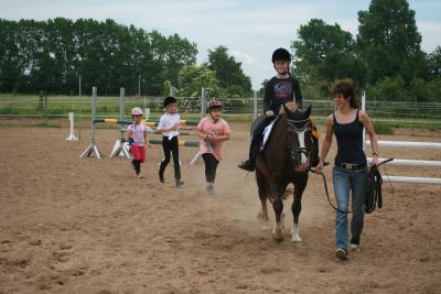 Foto des Albums: Reitfest