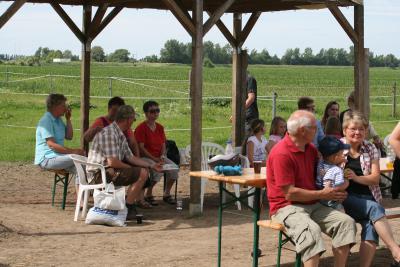Foto des Albums: Reitfest