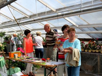 Foto des Albums: Erstes Rosenfest in Wittstock (07.07.2013)