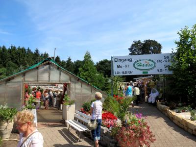 Foto des Albums: Erstes Rosenfest in Wittstock (07.07.2013)