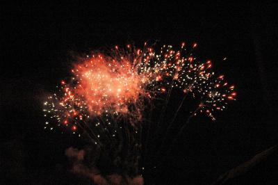 Foto des Albums: Pritzwalker Festtage 2013