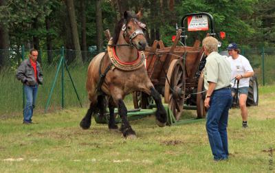 Foto des Albums: Titanen der Rennbahn 2013 (29.06.2013)