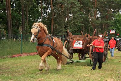 Foto des Albums: Titanen der Rennbahn 2013 (29.06.2013)