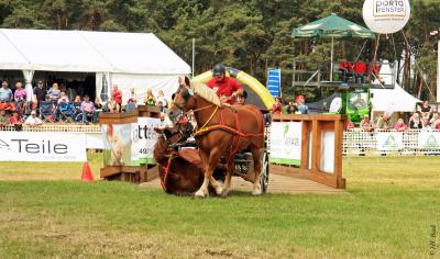 Foto des Albums: Titanen der Rennbahn 2013 (29.06.2013)