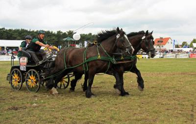 Foto des Albums: Titanen der Rennbahn 2013 (29.06.2013)