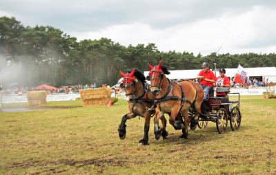 Foto des Albums: Titanen der Rennbahn 2013 (29.06.2013)