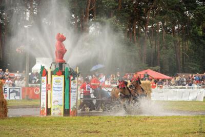 Foto des Albums: Titanen der Rennbahn 2013 (29.06.2013)