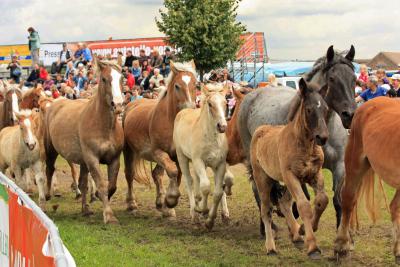 Foto des Albums: Titanen der Rennbahn 2013 (29.06.2013)