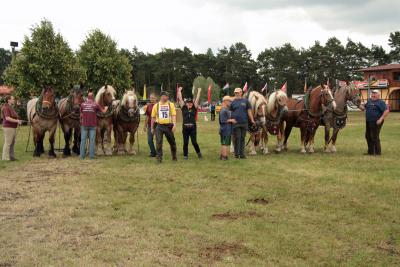 Foto des Albums: Titanen der Rennbahn 2013 (29.06.2013)