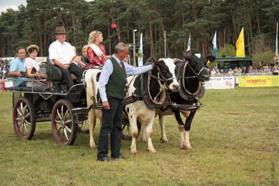 Foto des Albums: Titanen der Rennbahn 2013 (29.06.2013)