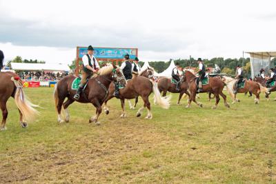 Foto des Albums: Titanen der Rennbahn 2013 (29.06.2013)