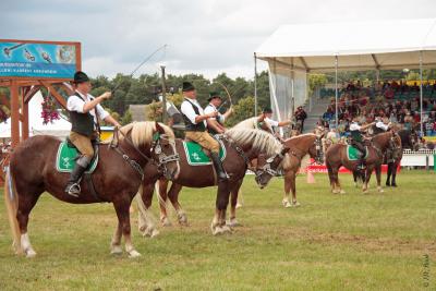 Foto des Albums: Titanen der Rennbahn 2013 (29.06.2013)