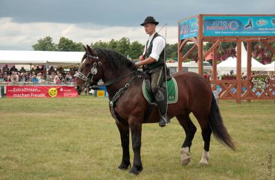 Foto des Albums: Titanen der Rennbahn 2013 (29.06.2013)