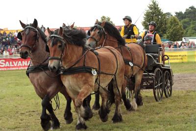 Foto des Albums: Titanen der Rennbahn 2013 (29.06.2013)