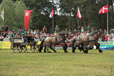 Foto des Albums: Titanen der Rennbahn 2013 (29.06.2013)