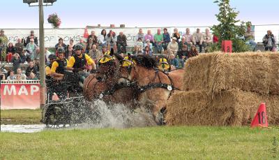 Foto des Albums: Titanen der Rennbahn 2013 (29.06.2013)