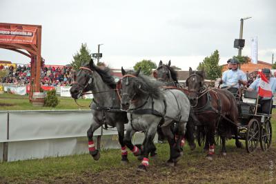 Foto des Albums: Titanen der Rennbahn 2013 (29.06.2013)