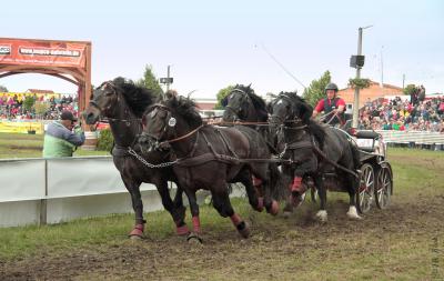 Foto des Albums: Titanen der Rennbahn 2013 (29.06.2013)