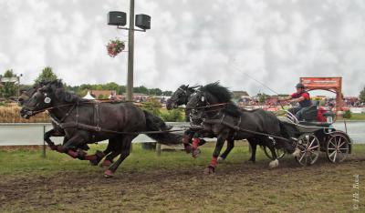 Foto des Albums: Titanen der Rennbahn 2013 (29.06.2013)