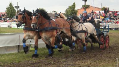 Foto des Albums: Titanen der Rennbahn 2013 (29.06.2013)